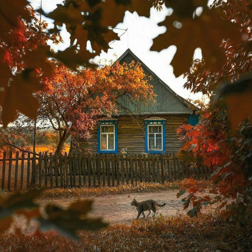 Цяпло і спакой лістапада