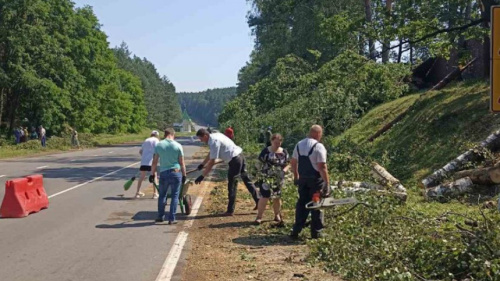 Ліквідацыя наступстваў урагану ў Магілёўскай вобласці працягваецца