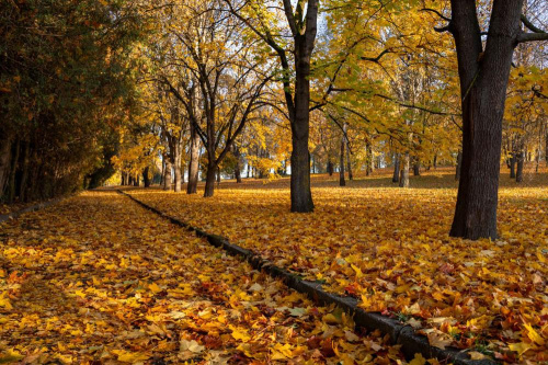 На выхадныя пахаладае