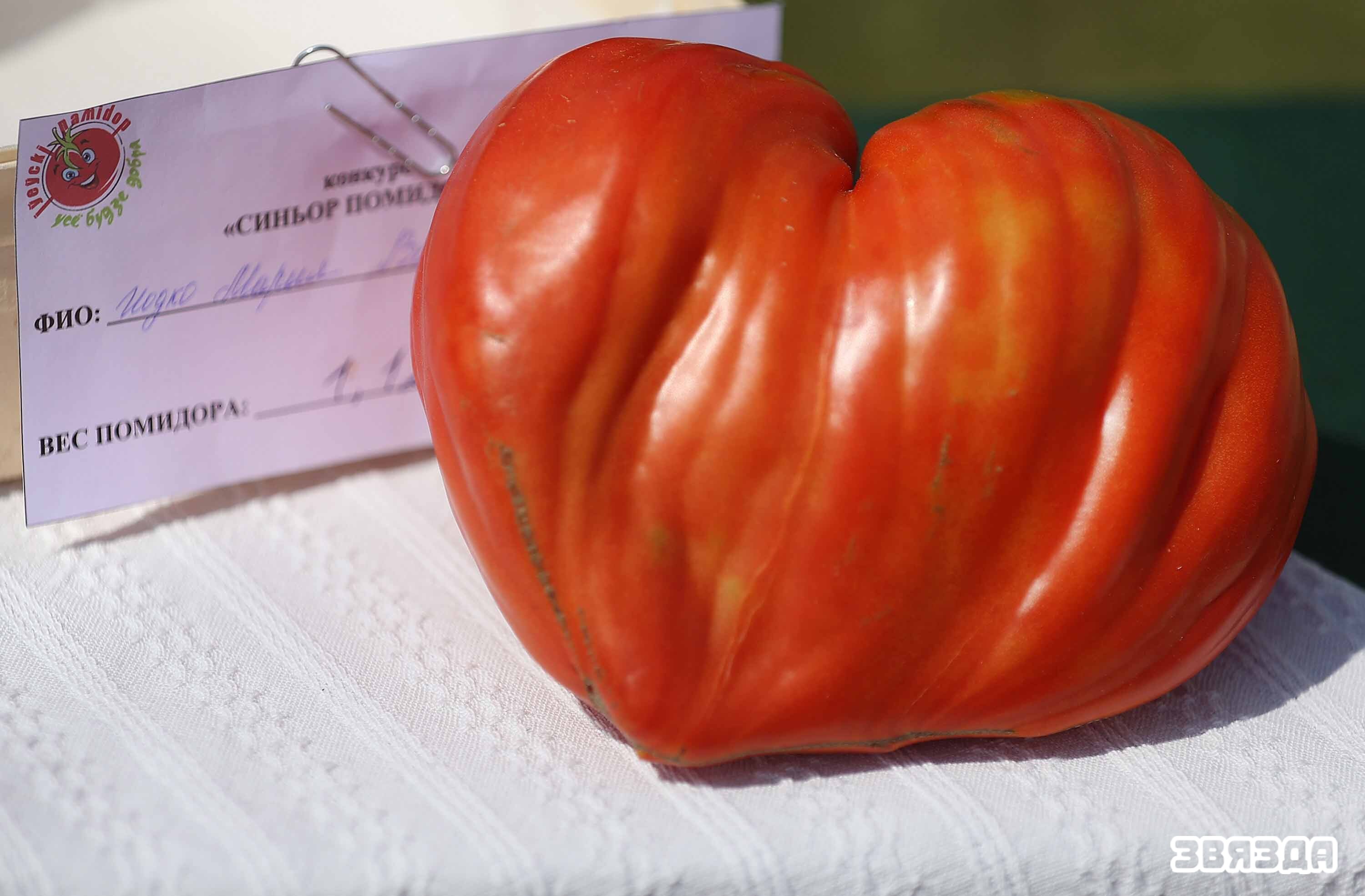 У Іўі адзначылі штогадовае свята ў гонар памідора