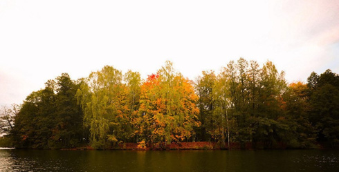 До +12°С и облачно будет сегодня в Беларуси