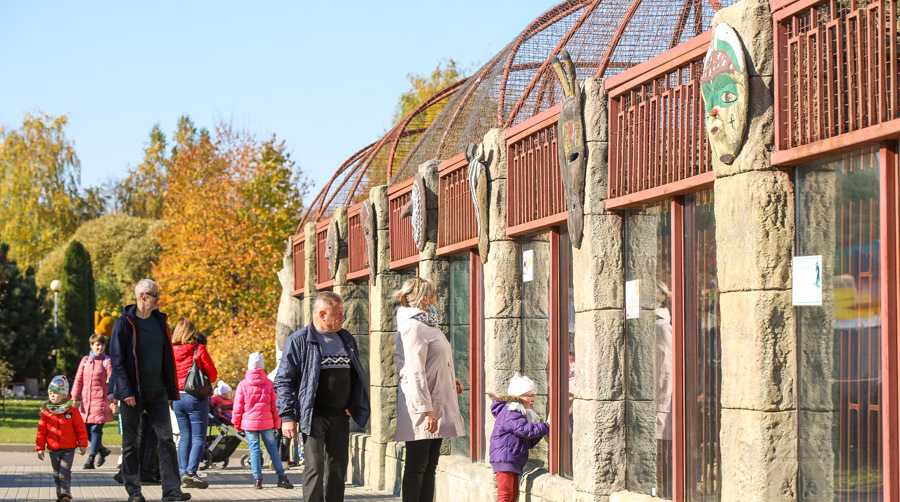 З клоўнам і вясёлымі гусямі: маштабнае свята арганізуюць у Мінскім заапарку 1 чэрвеня