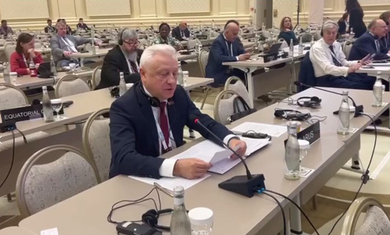 MP: BRICS is able to challenge West’s dominance in international relations