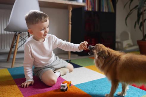 В белорусских школах будут учить заботе о животных