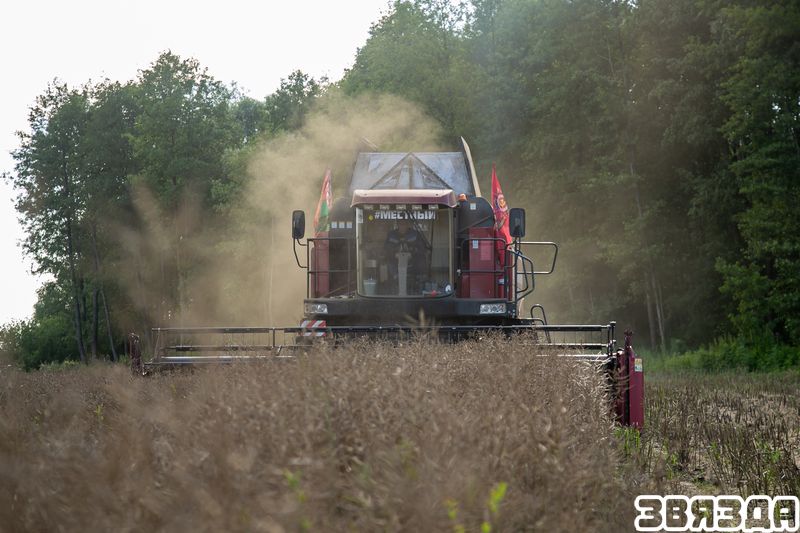 Даведаліся, якімі тэмпамі ідзе ўборка, на прыкладзе адной з гаспадарак у Лунінецкім раёне