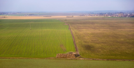 Белгідрамет: у сувязі з паніжэннем тэмпературы паветра развіццё азімых збожжавых культур запаволіцца
