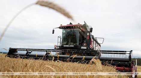 За час уборачнай кампаніі прафсаюзы ўзнагародзілі больш за 13,8 тысячы аграрыяў