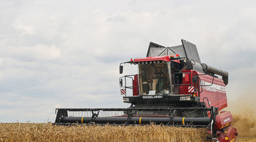 Nearly 9.5m tonnes of grain with rapeseed and corn harvested in Belarus