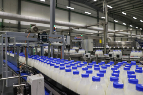 Запатрабаваны не толькі смачныя, але і карысныя ды функцыянальныя прадукты