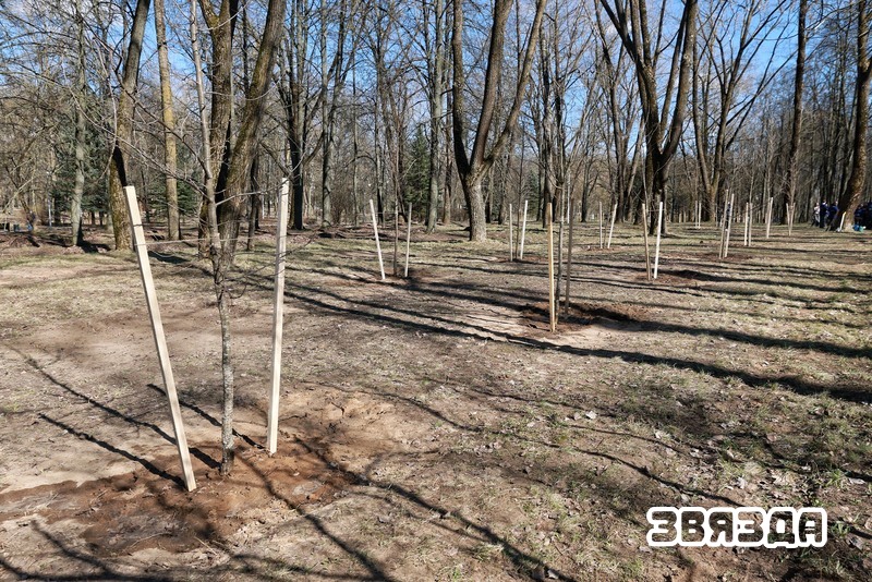 У Мінску пасадзілі Алею Памяці гарадоў-герояў