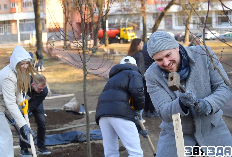 Маладыя парламентарыі сталіцы высадзілі алею дрэў у гонар 80-годдзя Вялікай Перамогі