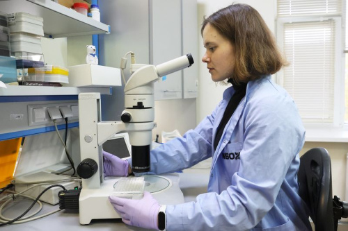 Вучоныя Беларусі і Расіі ствараюць прататыпы інавацыйных лекаў