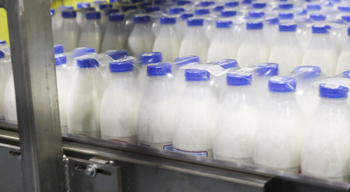 Belarus gets green light for dairy trade in Algeria