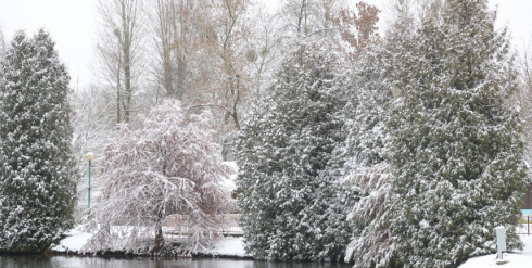 Во многих районах осадки. Какой будет погода в Беларуси 25 ноября