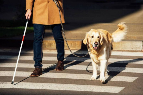 15 кастрычніка адзначаецца Міжнародны дзень Белай палкі — сімвала невідушчага чалавека