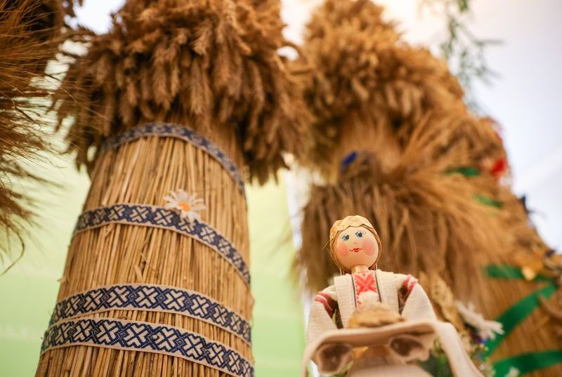 Harvesting of key crops nears completion in Belarus