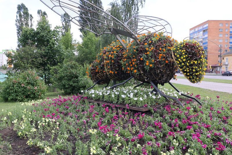 Gomel launches flower planting initiative