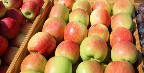 Аб’ёмы вытворчасці пладоў і ягад да 2030 года плануецца павялічыць да 265 тыс. тон