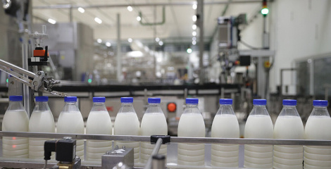 Колькі збожжа, малака, мяса і агародніны атрымліваюць у Беларусі на душу насельніцтва, расказалі ў Белстаце