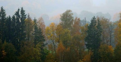 Дожди и порывистый ветер ожидаются сегодня в Беларуси