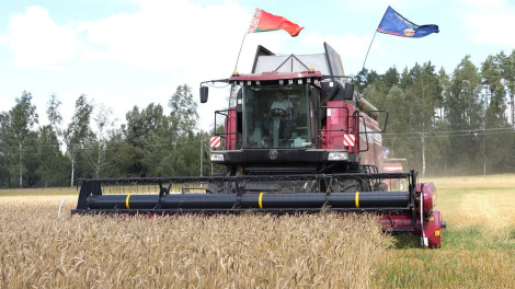 Як супрацоўнікі ўнутраных спраў дапамагаюць аграрыям