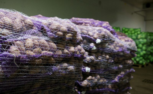 МАРГ: Завяршаецца закладка плодаагародніннай прадукцыі ў стабфонды