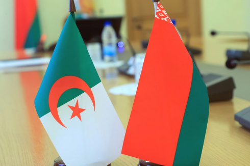 Лукашенко уверен, что Беларусь и Алжир могут вывести взаимодействие на новый стратегический уровень