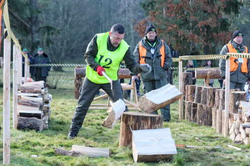 Чемпионат по колке дров ищет свой символ