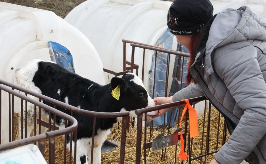 Поврежденные кровли, разрушенный телятник: в Могилевской области ликвидируют последствия сильного ветра