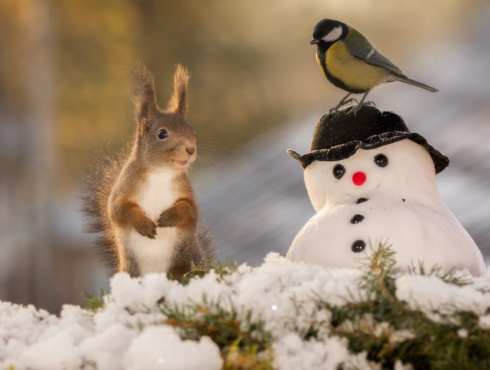 Какой будет погода в Беларуси на финальной неделе года