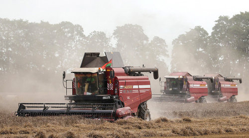 Belarus’ grain harvest past 6m tonnes