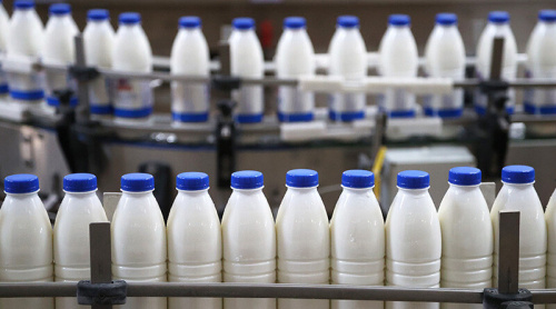 Belarusian dairy producers to ramp up export to Egypt