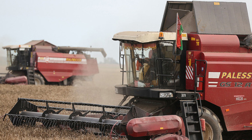 Belarus’ grain harvest reaches 10.8m tonnes