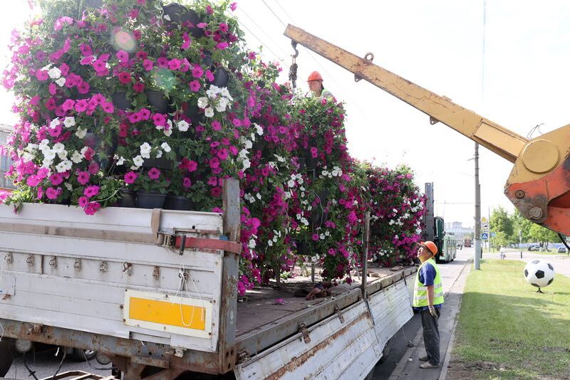 Gomel launches flower planting initiative