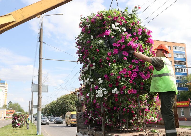 Gomel launches flower planting initiative