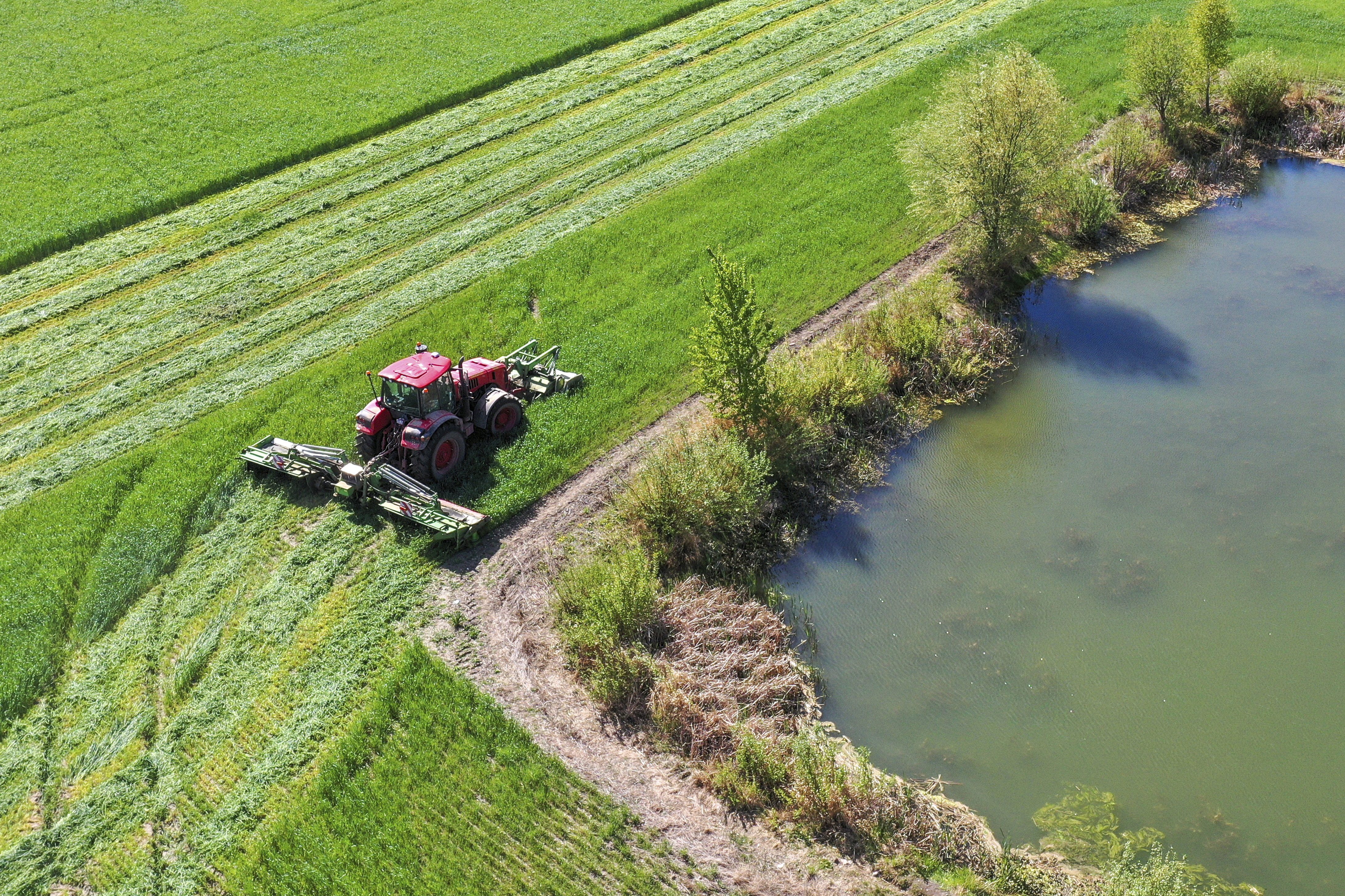 Як у Гродзенскай вобласці змагаюцца з наступствамі майскіх замаразкаў? 