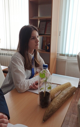 Более 110 школьников из Беларуси представляют свои научные работы на экологическую тематику на Республиканском конкурсе