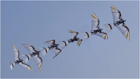 У Кітаі распрацавалі інавацыйнага робата, які ўзлятае быццам птушка