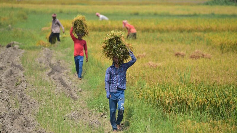 photo_2025-08-04_15-05-49 (4).jpg photo_2025-08-04_15-05-49 (4).jpg