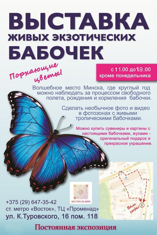 cdd5d0ff545820880b0dfcb0791a29cd.jpg cdd5d0ff545820880b0dfcb0791a29cd.jpg