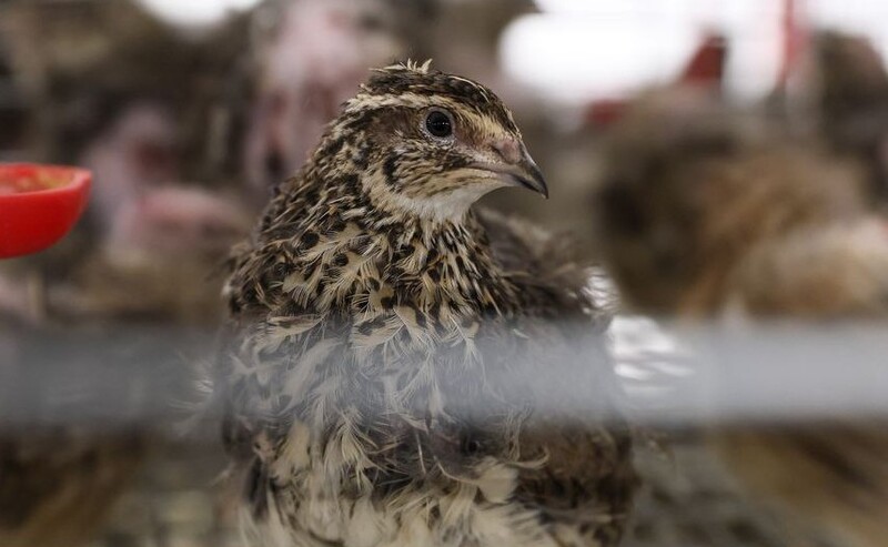 Screenshot_115.jpg Screenshot_115.jpg