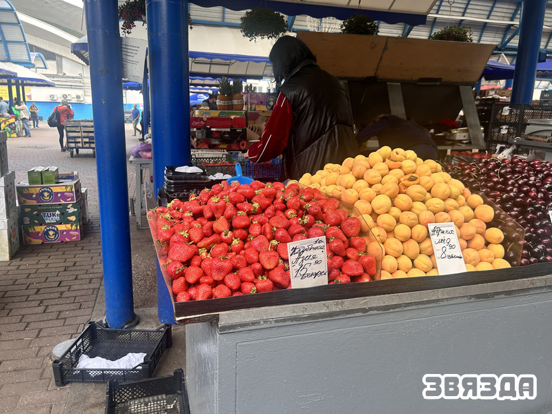 IMG_3872.jpg IMG_3872.jpg