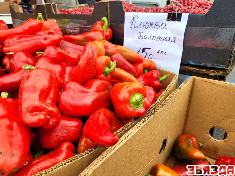 3-11 копия.jpg