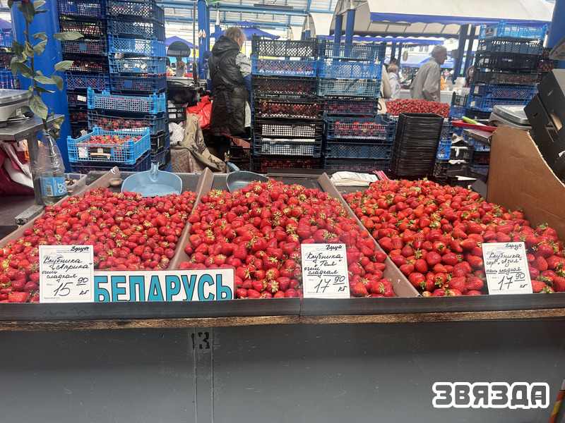 IMG_3879.jpg IMG_3879.jpg