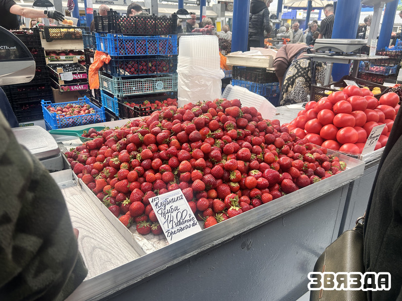 IMG_3880.jpg IMG_3880.jpg